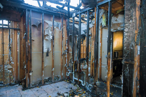 Professional Fire Damage Assessment technician working in Madeira Beach, FL
